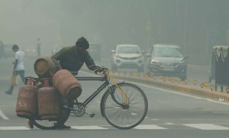 13 भारत से