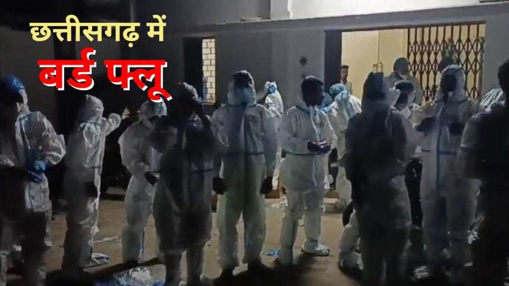 बर्ड फ्लू