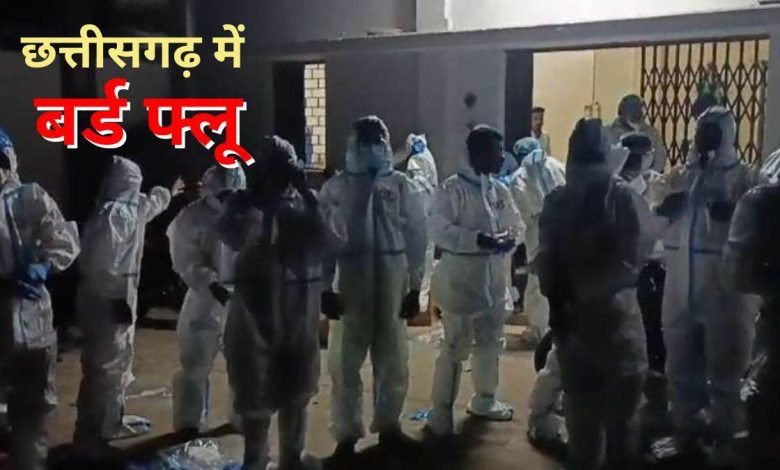 बर्ड फ्लू