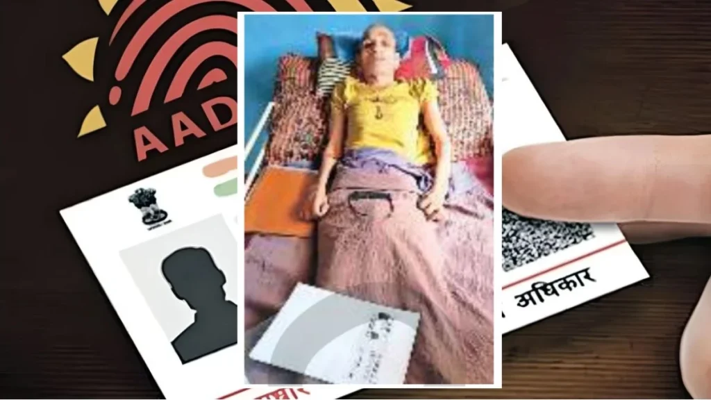 वृद्धावस्था