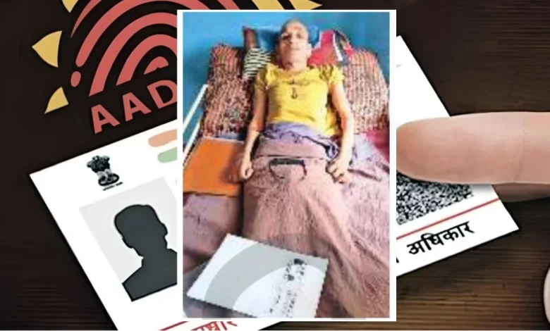 वृद्धावस्था