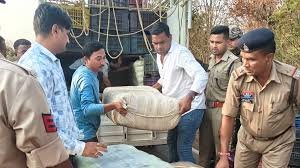 सब्जी कैरेट