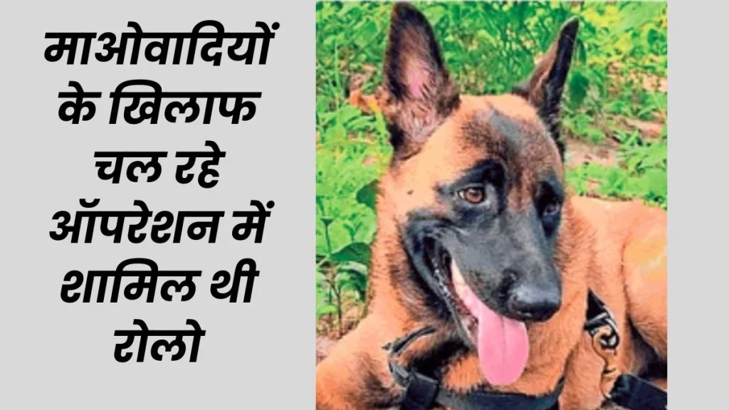 CRPF की डॉग