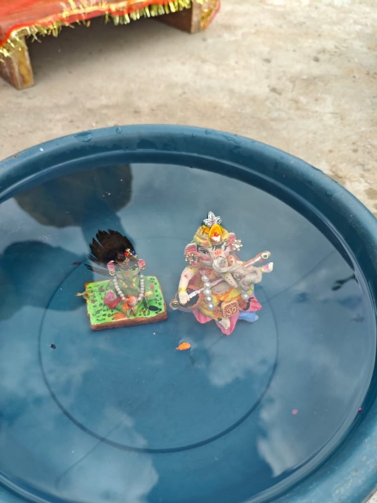 छत्तीसगढ़ पर्यावरण मित्र समिति द्वारा अमलेश्वर में ढाई इंच की श्रीगणेश जी की मूर्ति को टब में किया गया विसर्जित