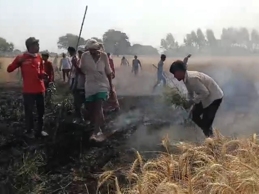 बड़ा हादसा;गुरपलिया गांव में हाईटेंशन लाइन टूटने से करीब 200 बीघा गेहूं की फसल जलकर खाक…