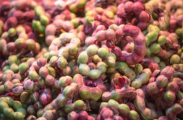 पेड़ पर उगने वाली ‘जलेबी’!, सेहत के लिए वरदान