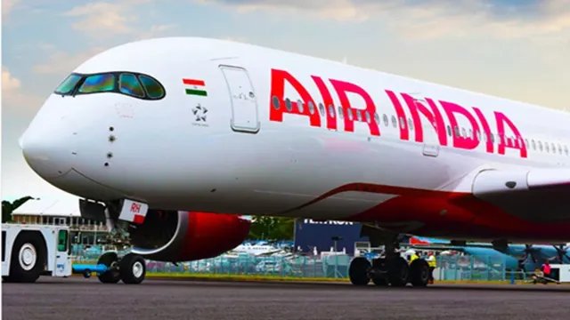 रायपुर एयरपोर्ट पर दिल्ली से आ रही एअर इंडिया फ्लाइट से पक्षी टकराया; सभी यात्री सुरक्षित