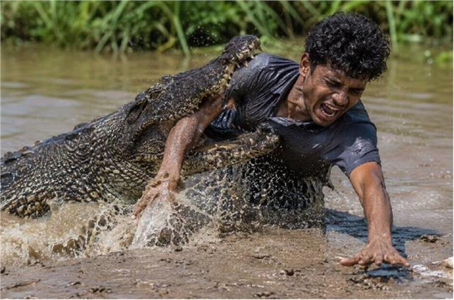 नाले के किनारे गए युवक को खींच ले गया मगरमच्छ, जबड़े से निकल आया फिर भी मौत हो गई