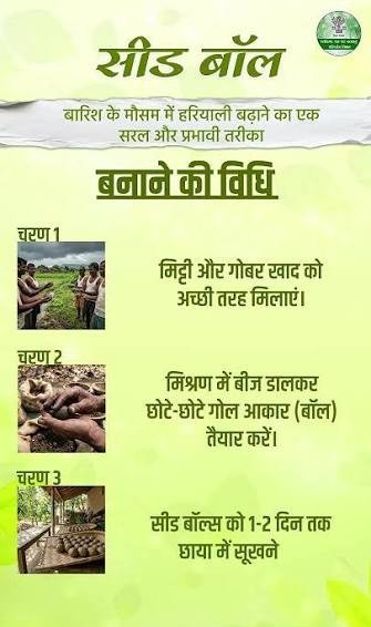 सीड बॉल अभियान- हरियाली बढ़ाने का सरल और प्रभावी माध्यम