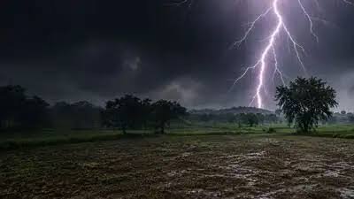 छत्तीसगढ़:बारिश के दौरान पेड़ के नीचे खड़े चार बच्चों पर गिरी आकाशीय बिजली,2 की मौत; 2 गंभीर…