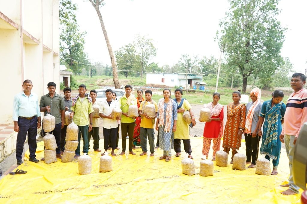 सुकमा में मशरूम उत्पादन का प्रशिक्षण बना आत्मनिर्भरता की नई राह