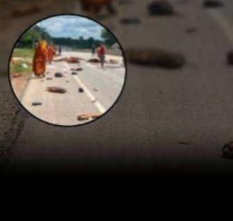 दर्दनाक हादसा:11 साल के बच्चे ने पिकअप वैन से 10 बौद्ध भिक्षुओं को रौंदा, पर कोई सजा नहीं होगी…