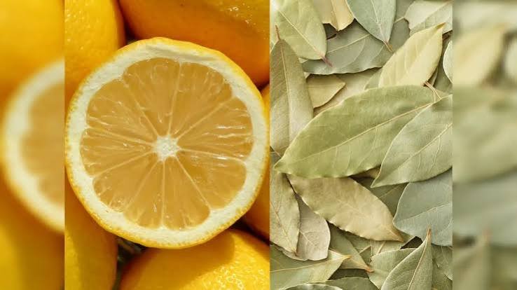 मिनटों में महक उठता है पूरा घर,नींबू के छिलके और तेजपत्ते का हैक…