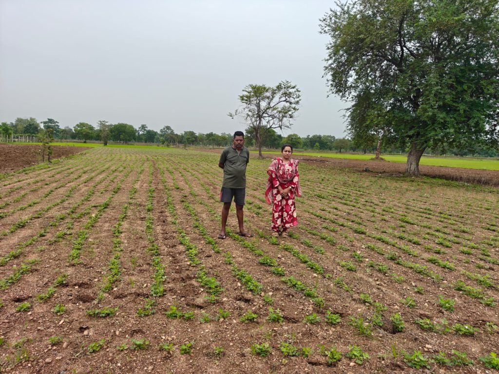 सफलता की कहानी-किसानों ने अपनाया लाभकारी फसलों का विकल्पहो रहा है, किसानों की आमदनी में इजाफा