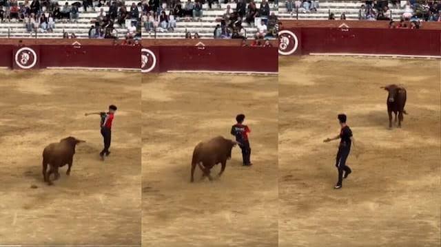 सांड के सींग से बस कुछ इंच दूर था युवक, सही समय पर लगाई छलांग…