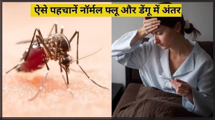मानसून सीजन में हर बुखार डेंगू नहीं होता ऐसे पहचानें कौन सा नॉर्मल और कौन सा नहीं?