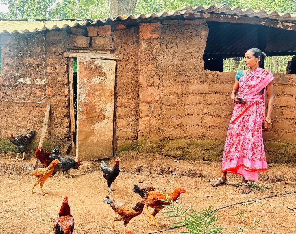 बिहान योजना ने दिया आजीविका का सहारा,मुर्गी पालन से दंतेवाड़ा की रामबती ने कमाए 25 हजार रुपये