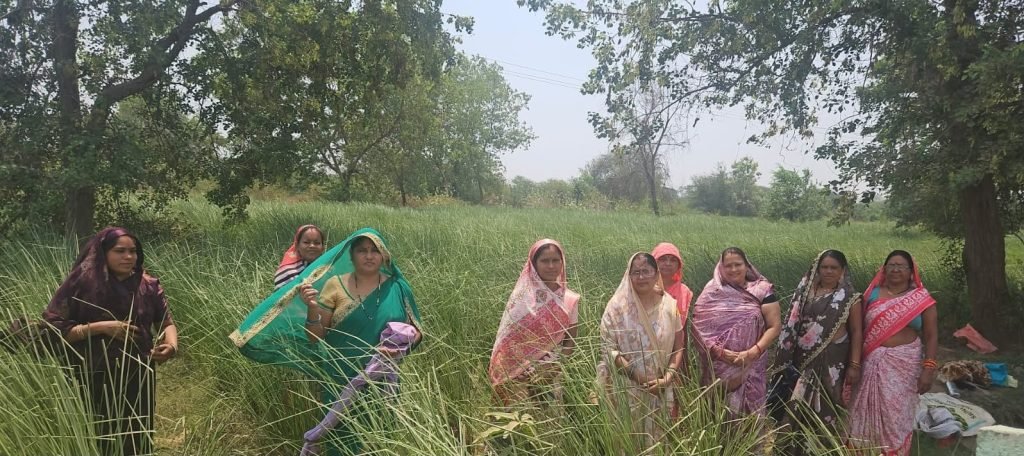 औषधीय खस की खेती से आत्मनिर्भरता की ओर बढ़ते कदम