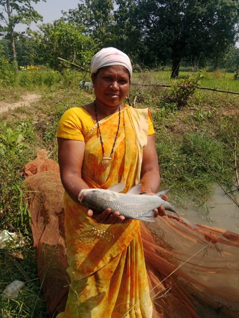 आजीविका डबरियों से महिलाओं की आय बढ़ाने की पहल